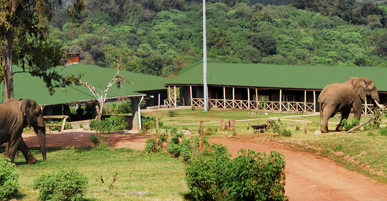 “Dar_properties_RhinoLodge"